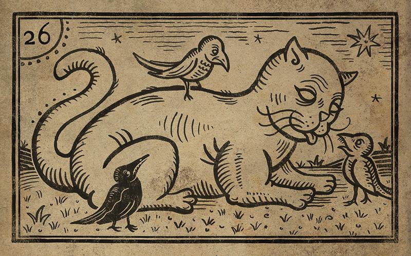 26. THE WHITE CAT. БЕЛЫЙ КОТ