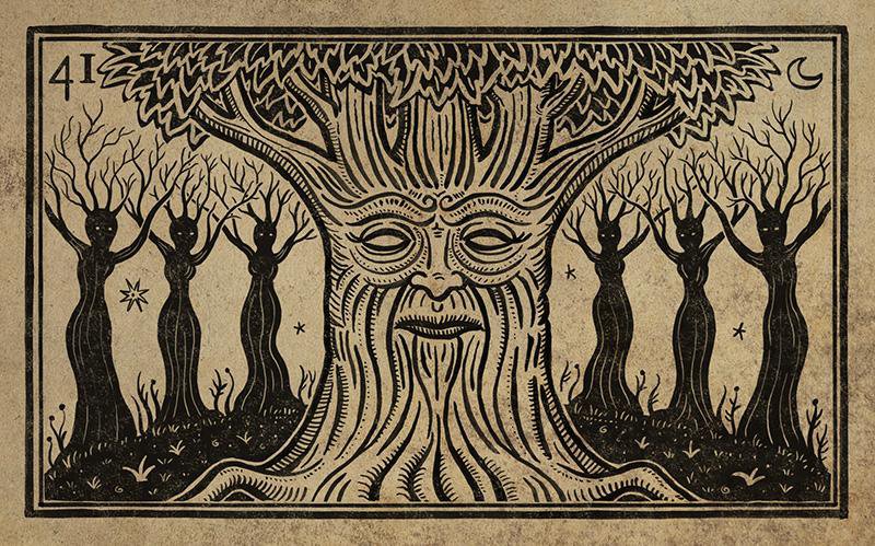 41. THE TREE. ДЕРЕВО