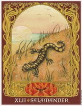 XLII САЛАМАНДРА