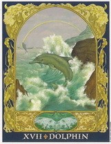 XVII ДЕЛЬФИН