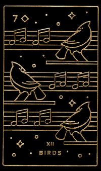 12 Птицы