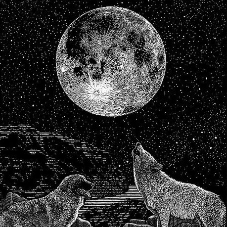 image_editor_output_image-1606177228-1638042236495