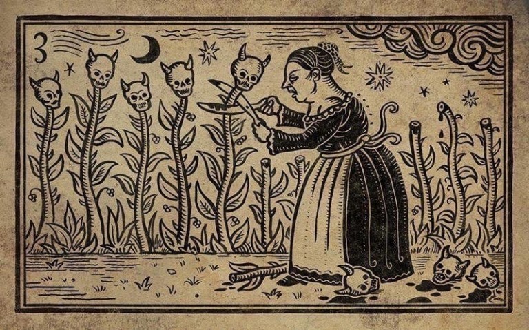 3. THE GARDENER