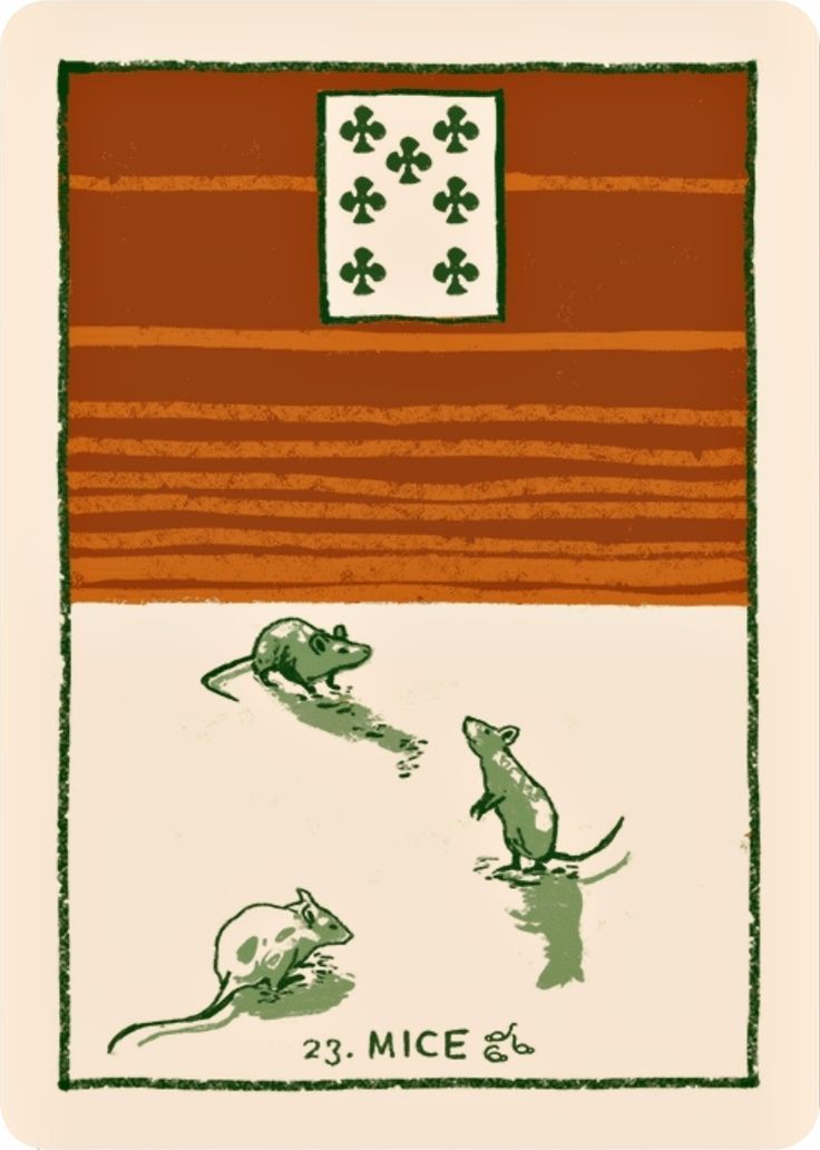 23 Крысы