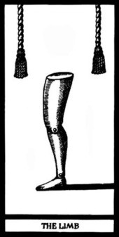 КОНЕЧНОСТЬ