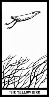 ЖЁЛТАЯ ПТИЦА