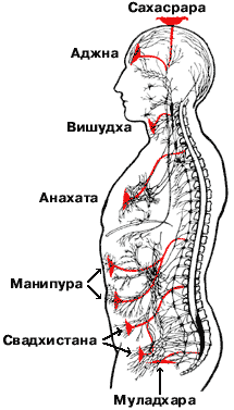 АДЖНА ЧАКРА — КАК ОТКРЫТЬ ЕЕ И ПРОКАЧАТЬ ЯСНОВИДЕНИЕ0